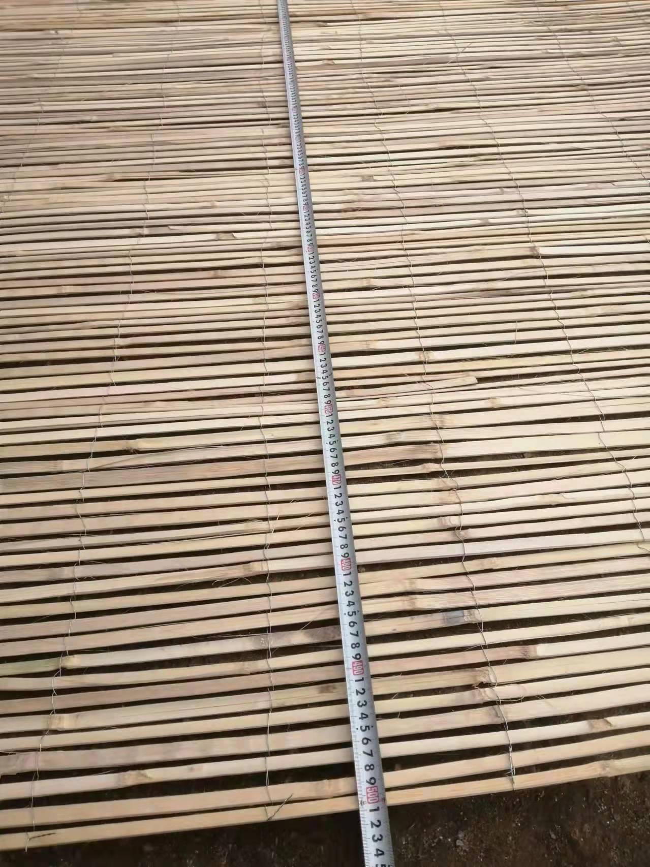 Bamboo fence