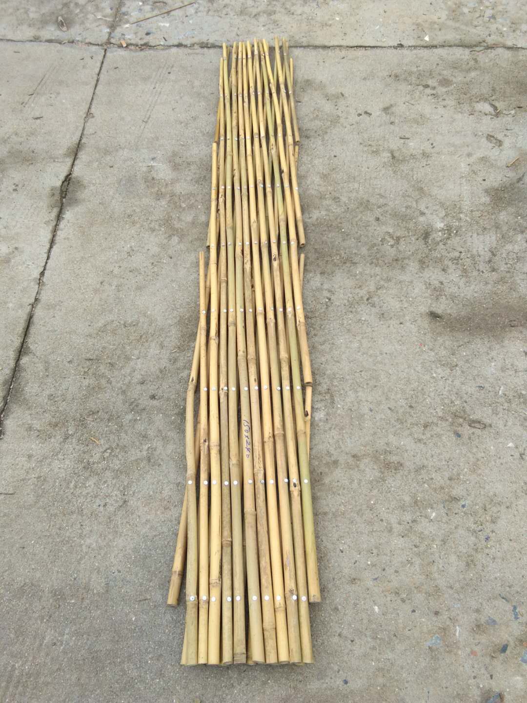 Bamboo fence