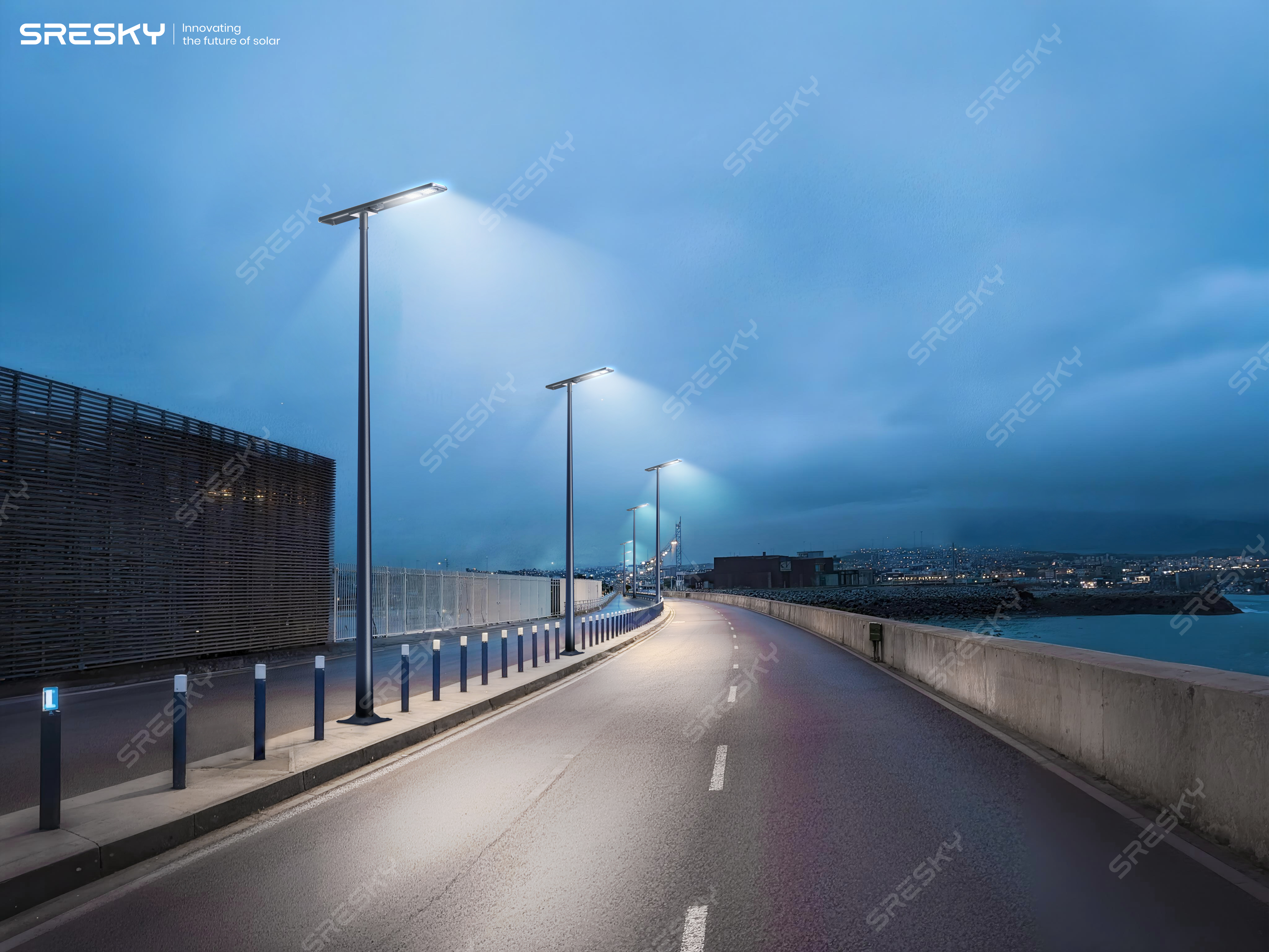 SSL-208 solar street light