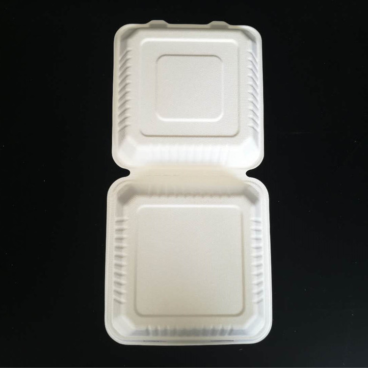 9lnch Clamshell