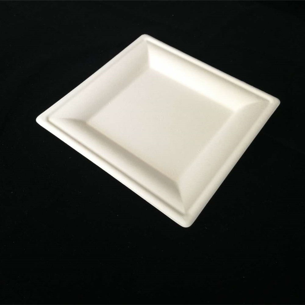 6 inch Square tray