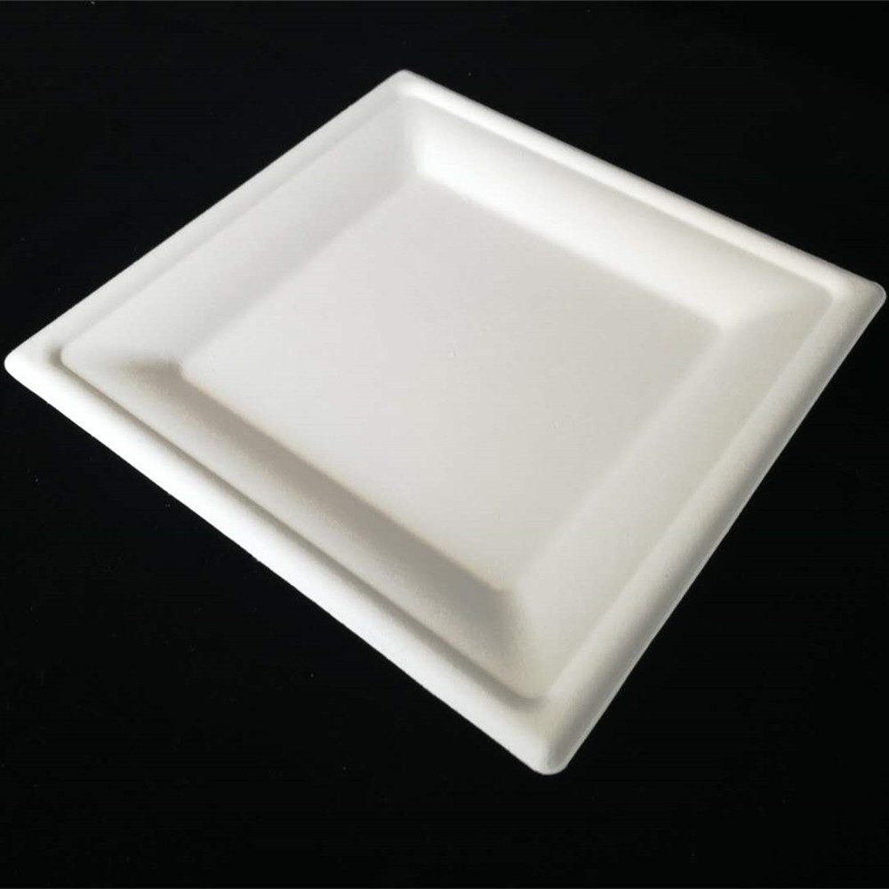 8inch Square tray