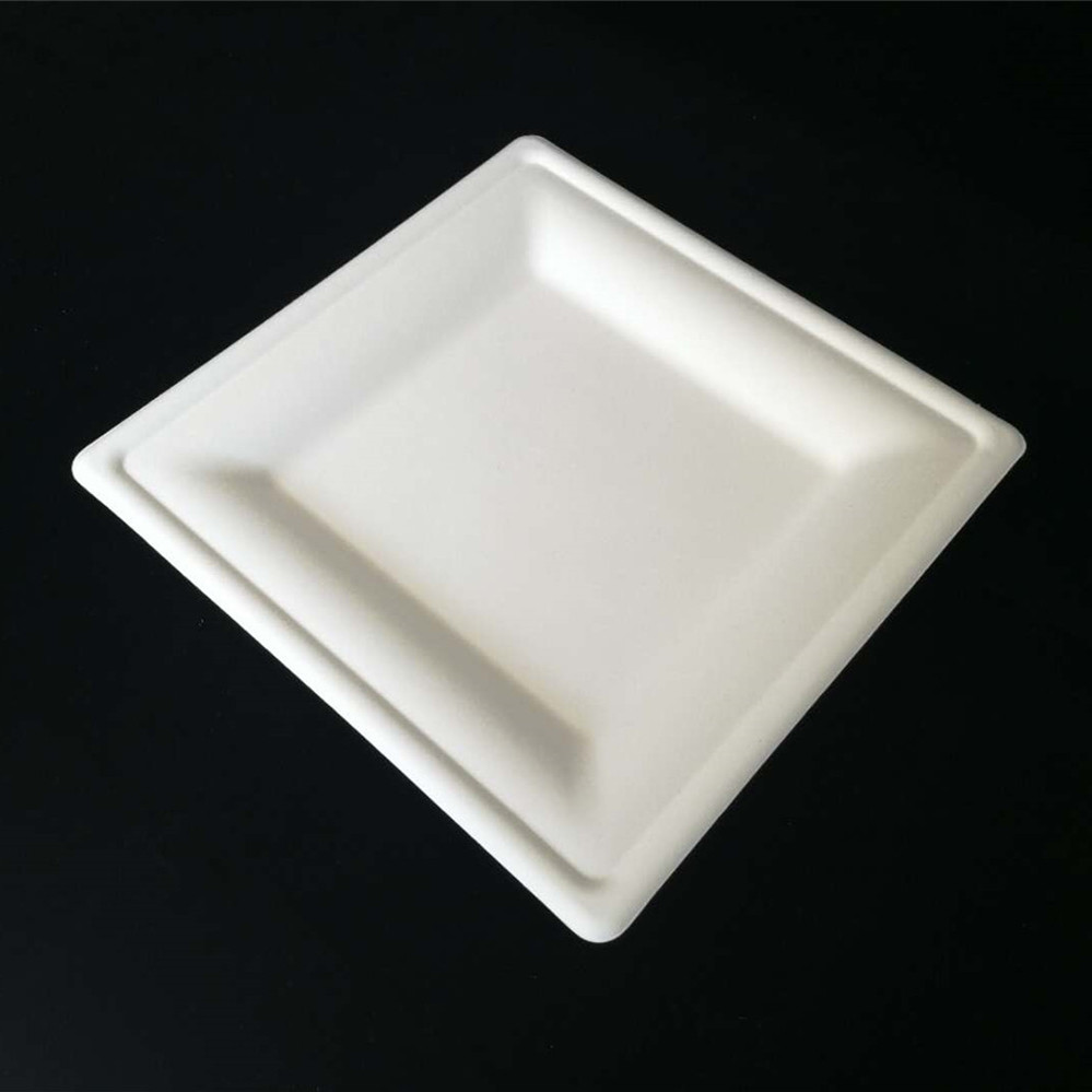 10inch Square tray