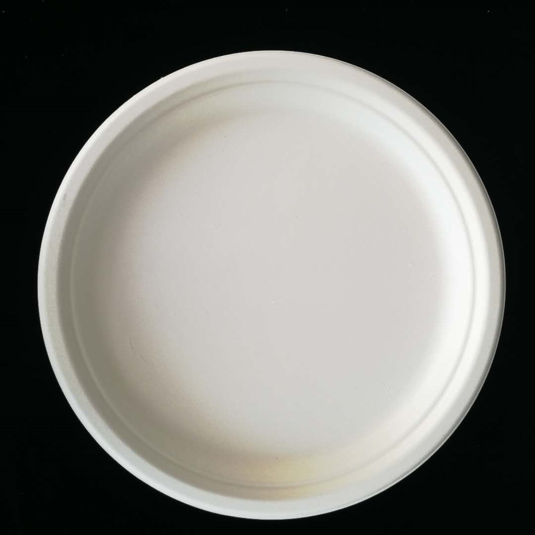 10inch round plate