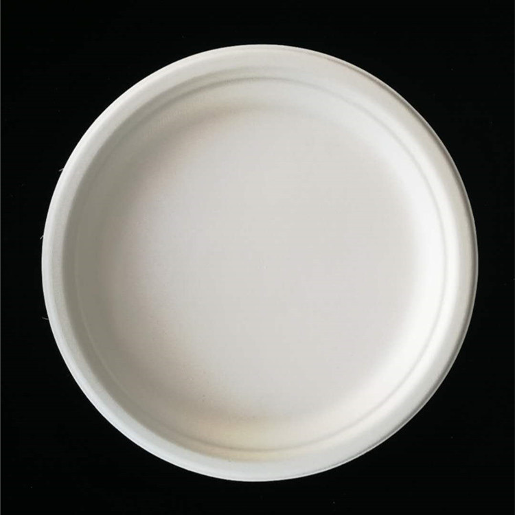23cm round plate