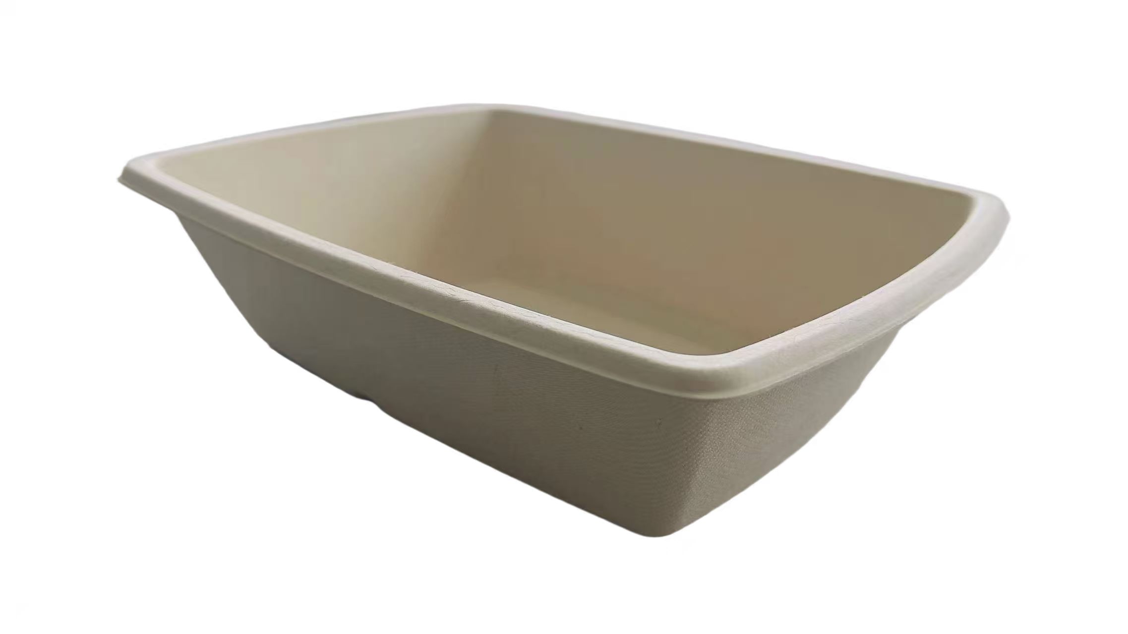 1300ml Salad Box