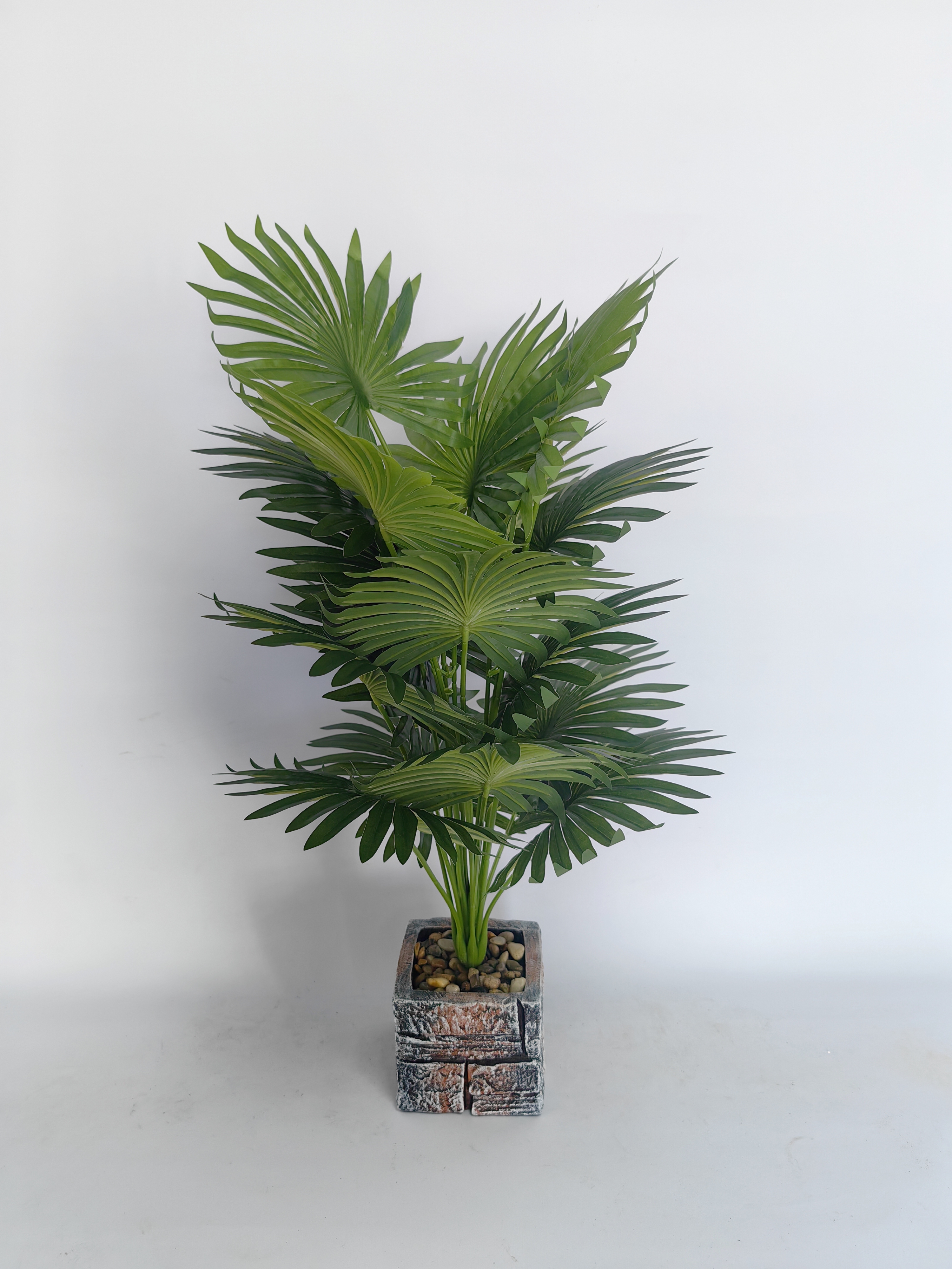 Simulation Bonsai