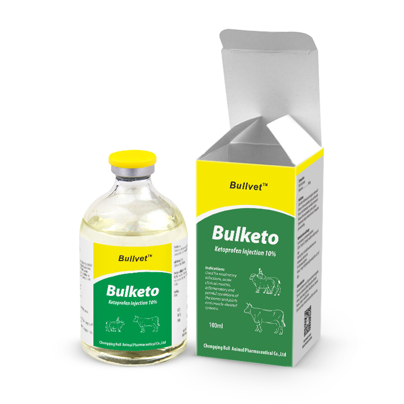 Ketoprofen Injection 10%