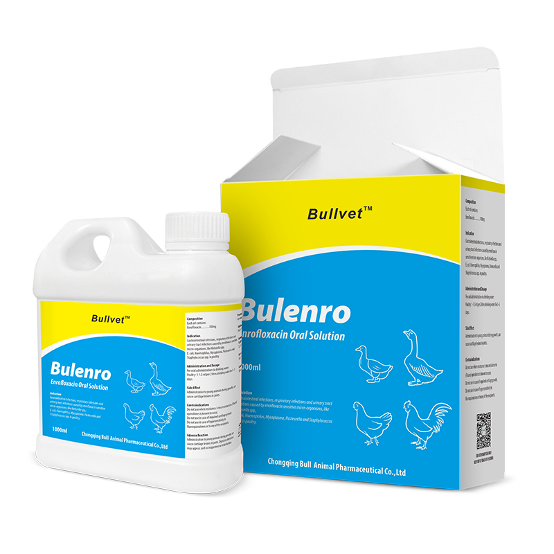 Enrofloxacin Oral Solution 10%
