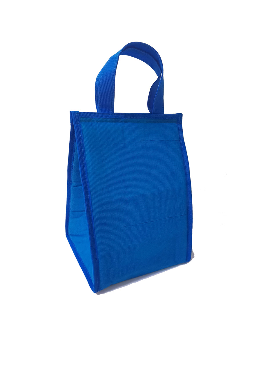 Thermal Food Delivery Bag Insualted Water-resistance Cooler Bag