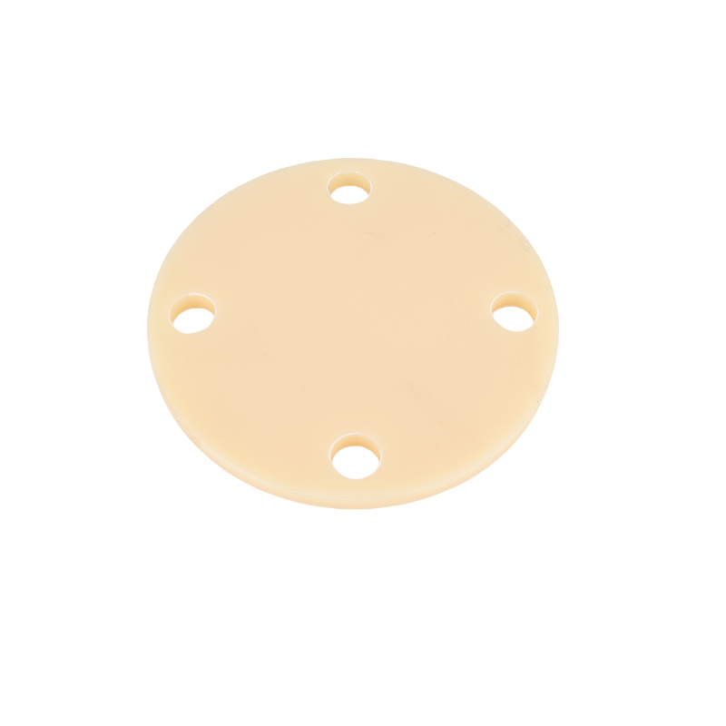 DIN Standard ABS Flange Cap 1.6MPa Pressure Blind Flange for Water Treatment System