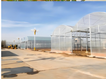 Greenhouse