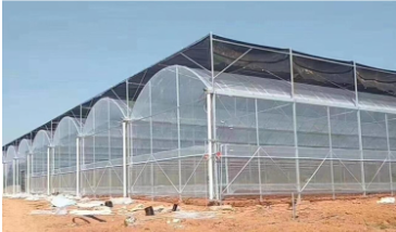 Greenhouse
