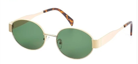 DSE301FL