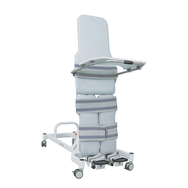 ZEPU-DQ1 Electric Tilt Bed Stand Up Bed
