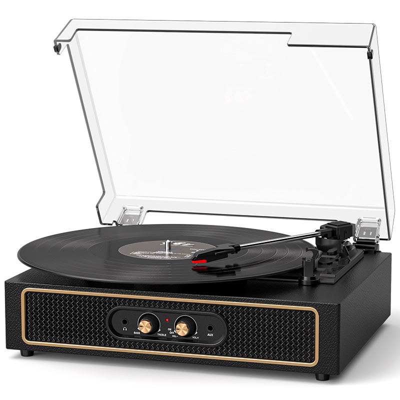 Vinyl turntable Record Player