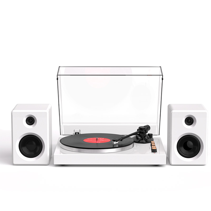Vinyl turntable Record Player
