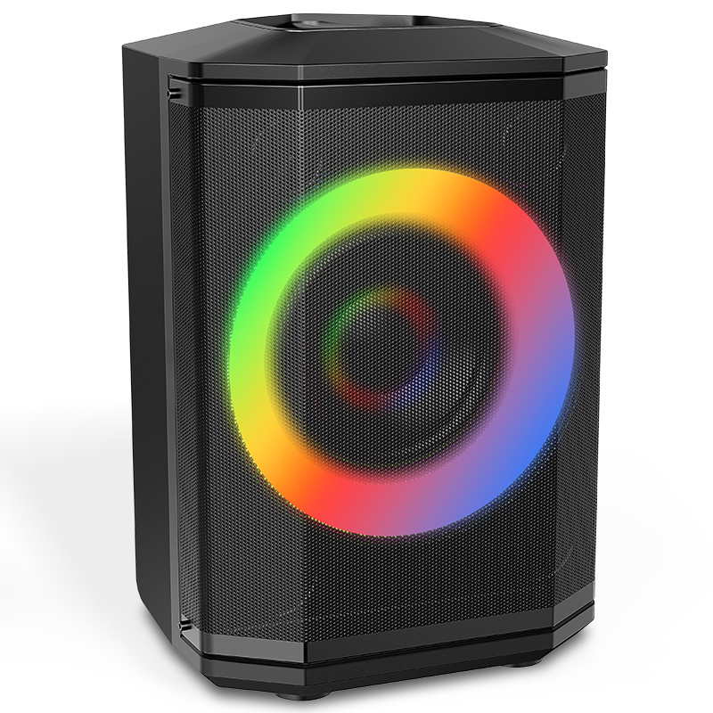 Portable Bluetooth Speaker