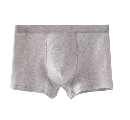 Men′s Boxer
