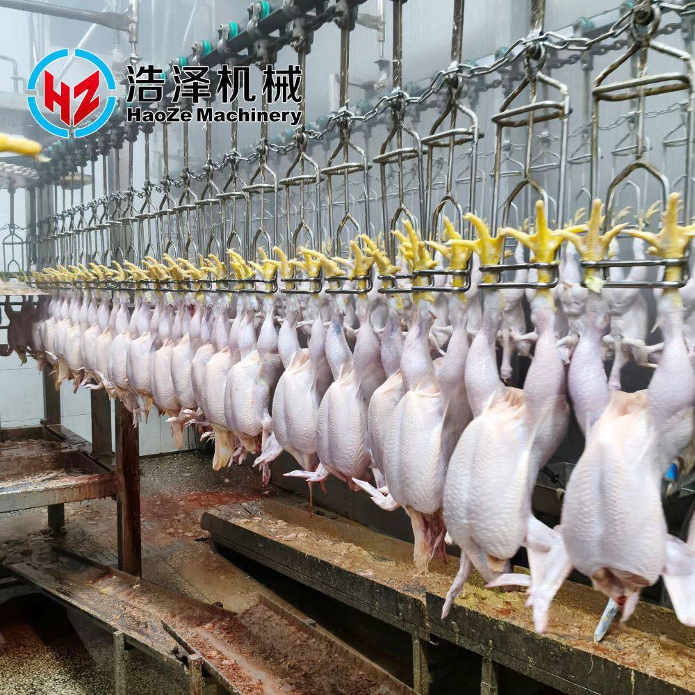 Haoze Machinery Slaughtering line Poultry slaughtering assembly line Slaughterhouse food processing