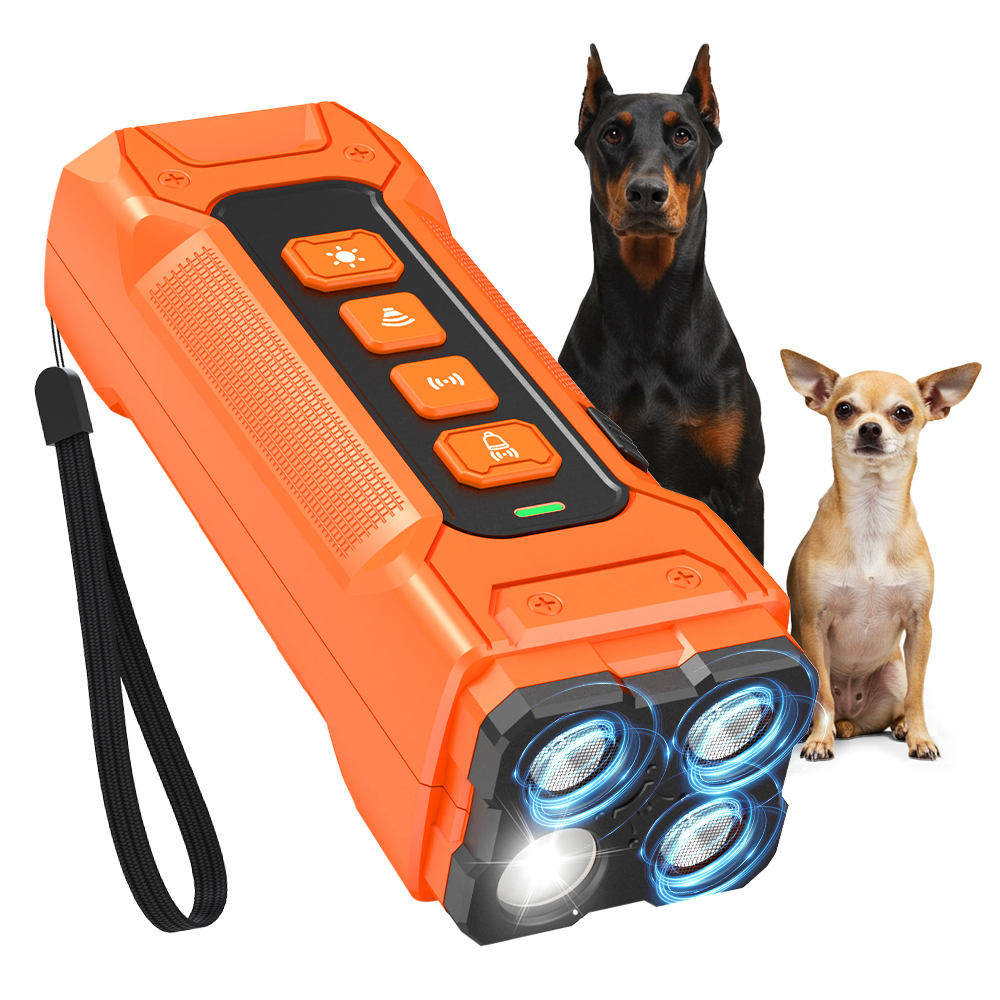 dog trainner