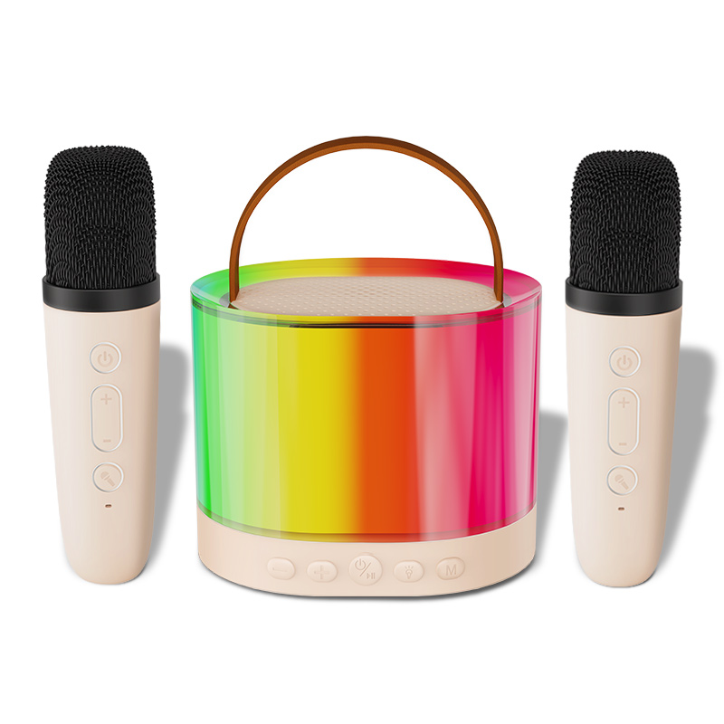 Portable Karaoke Bluetooth Speaker