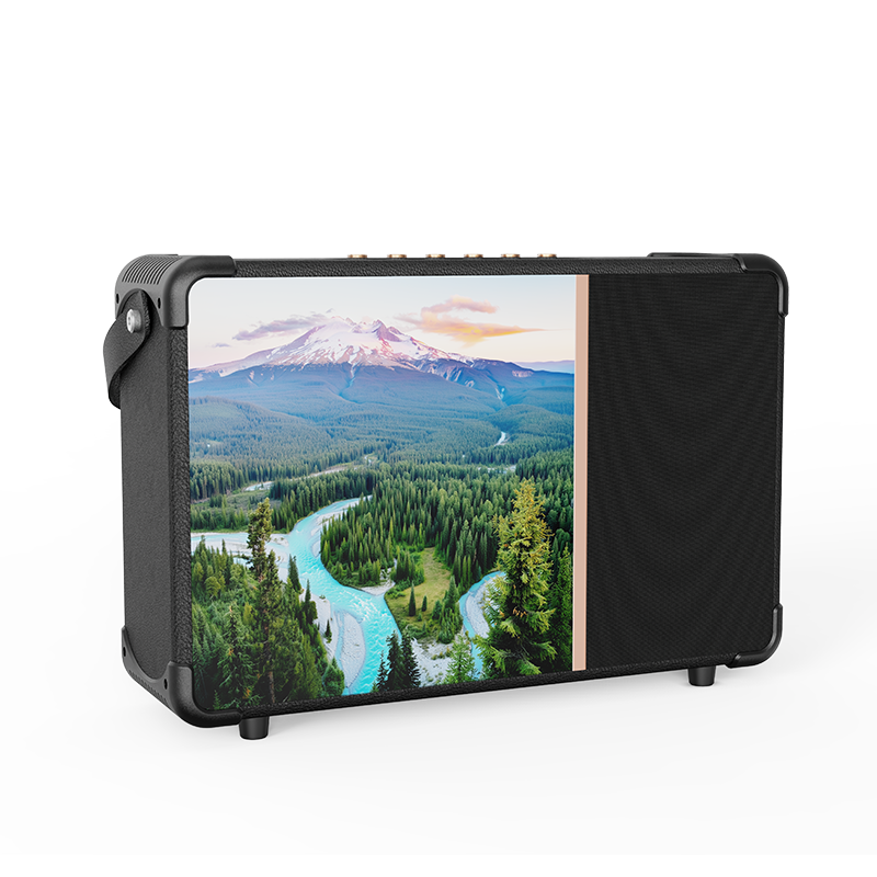 Portable Bluetooth Speaker