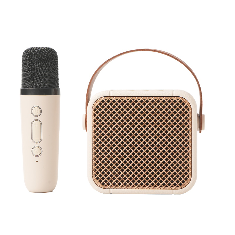 Portable Karaoke Bluetooth Speaker