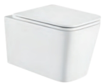 Wall-Hung Toilet
