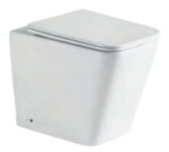 Floor Standing Toilet