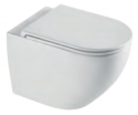 Wall Hung Toilet