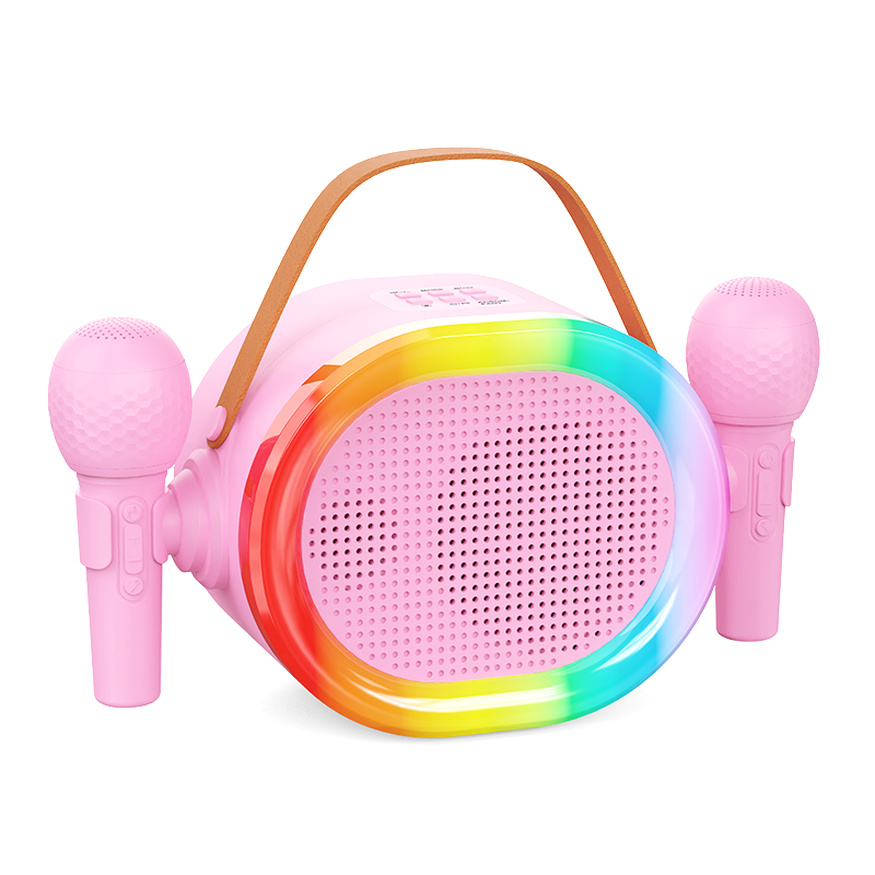 Portable Karaoke Bluetooth Speaker