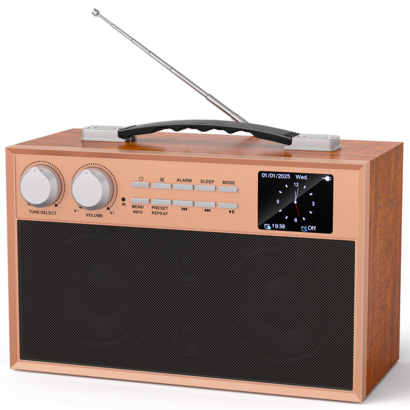 Bluetooth DAB Radio+ Speaker