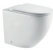 Floor Standing Toilet