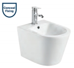 Wall Hung Bidet