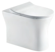 Floor Standing Toilet