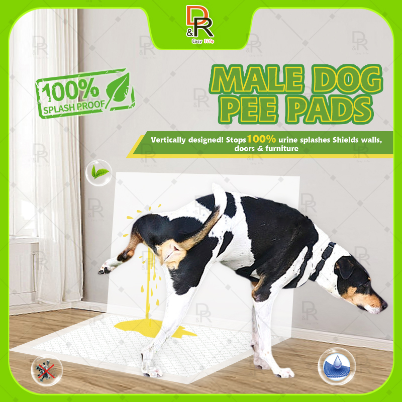 Male dog mat