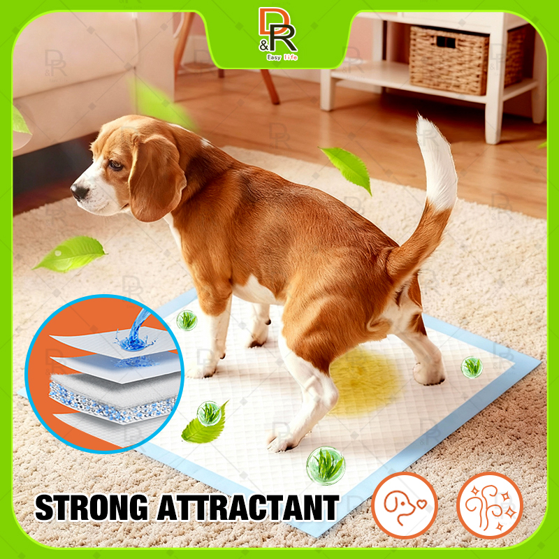 ''Amazon disposable pee pad with stickers good absorption