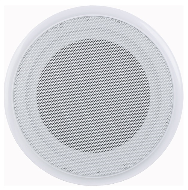Ceiling speaker