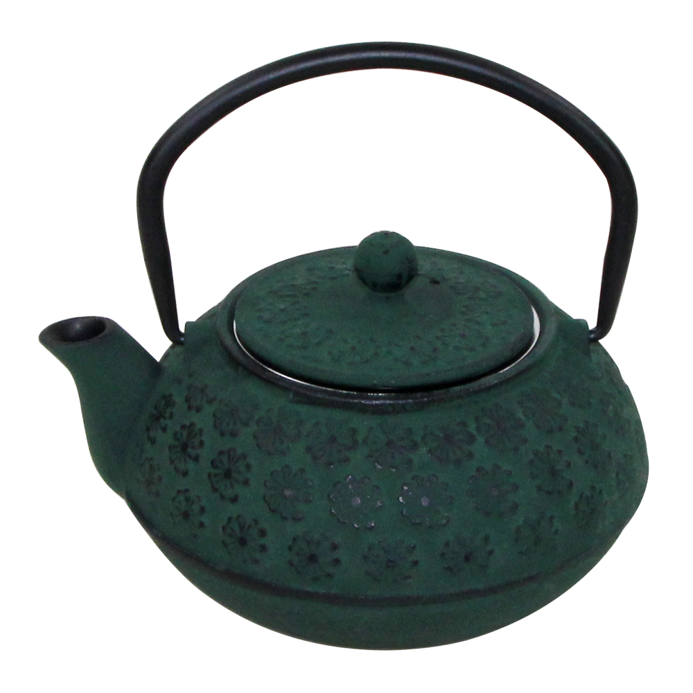 Cast Iron Japandi Style Teapot 600ml Japanese Tetsubin with Infuser Tea Kettle Enameled Interior
