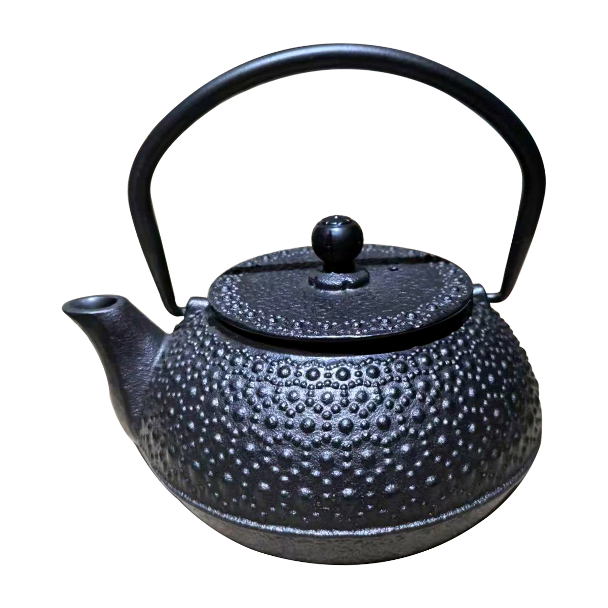 Traditional Chinese Cast Iron Enameled Eco-Friendly LFGB Certified Teapot Thickened Table Tea Ware
