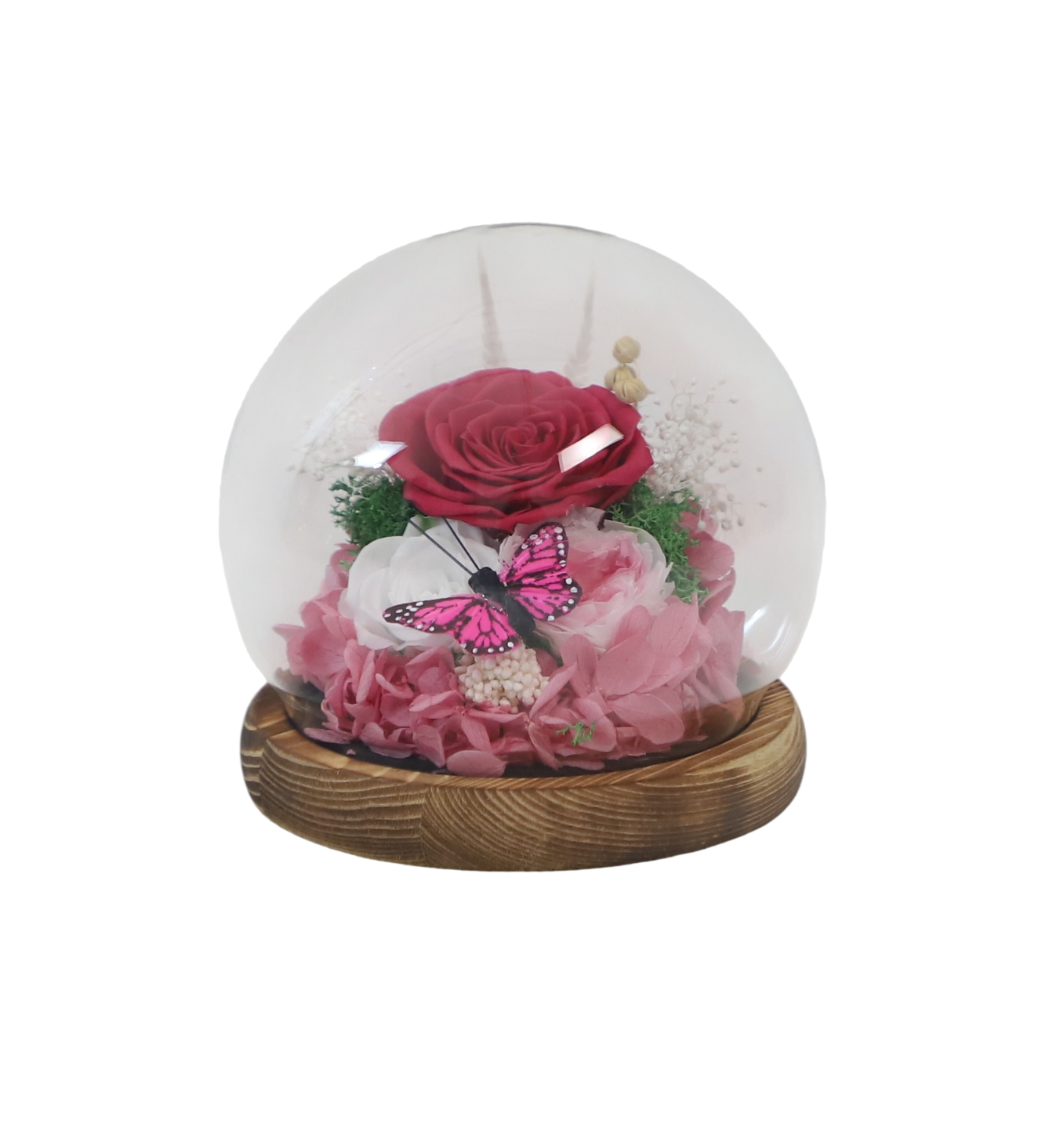 Preserved Rose Glass Dome | Romantic Gift for Valentine's, Mother's Day & Anniversary | Wood Base