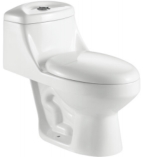 One Piece Toilet