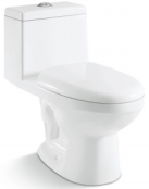 One Piece Toilet