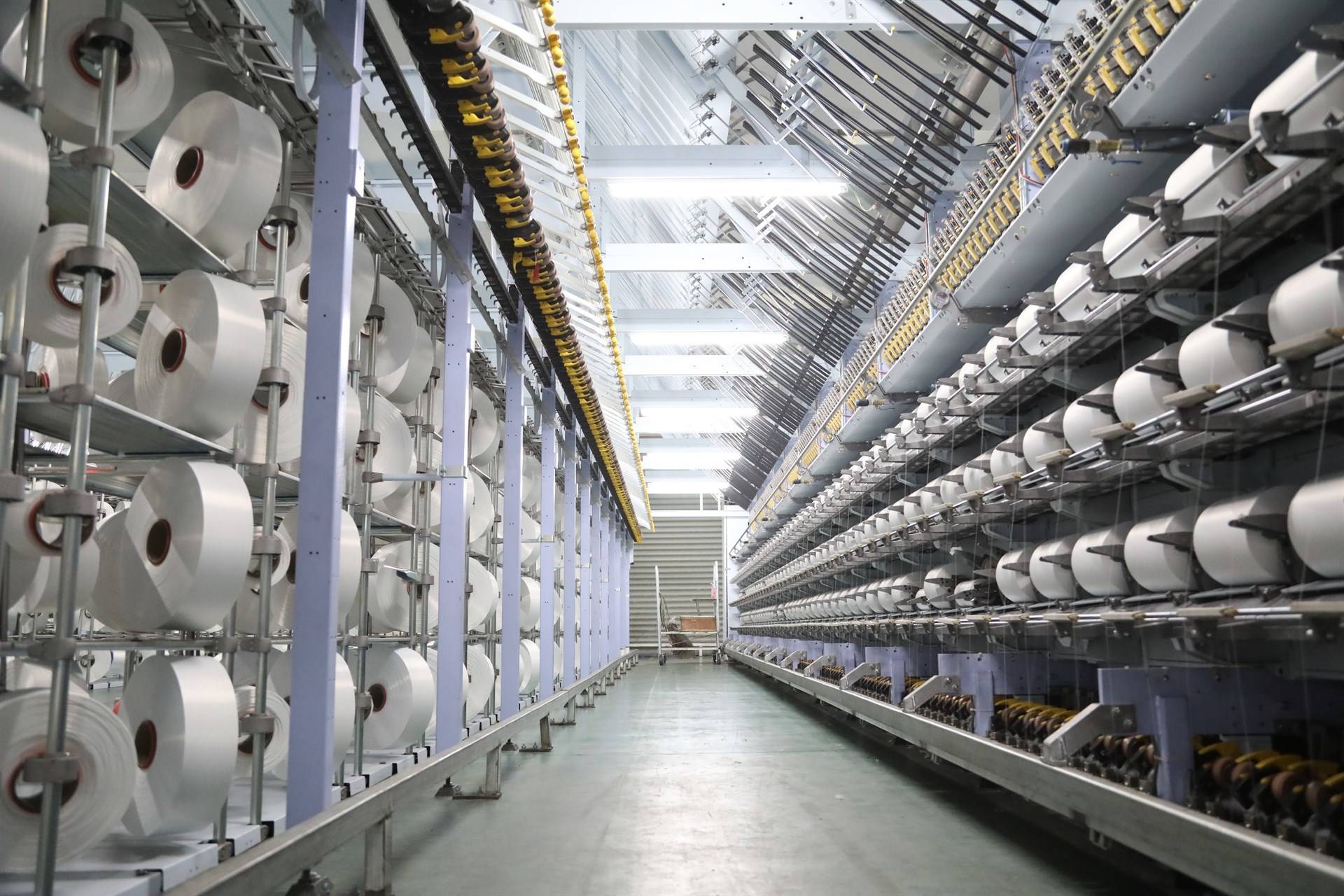 Polyester Fiber