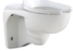 Tankless Wall Hung Toilet