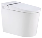 Smart Toilet