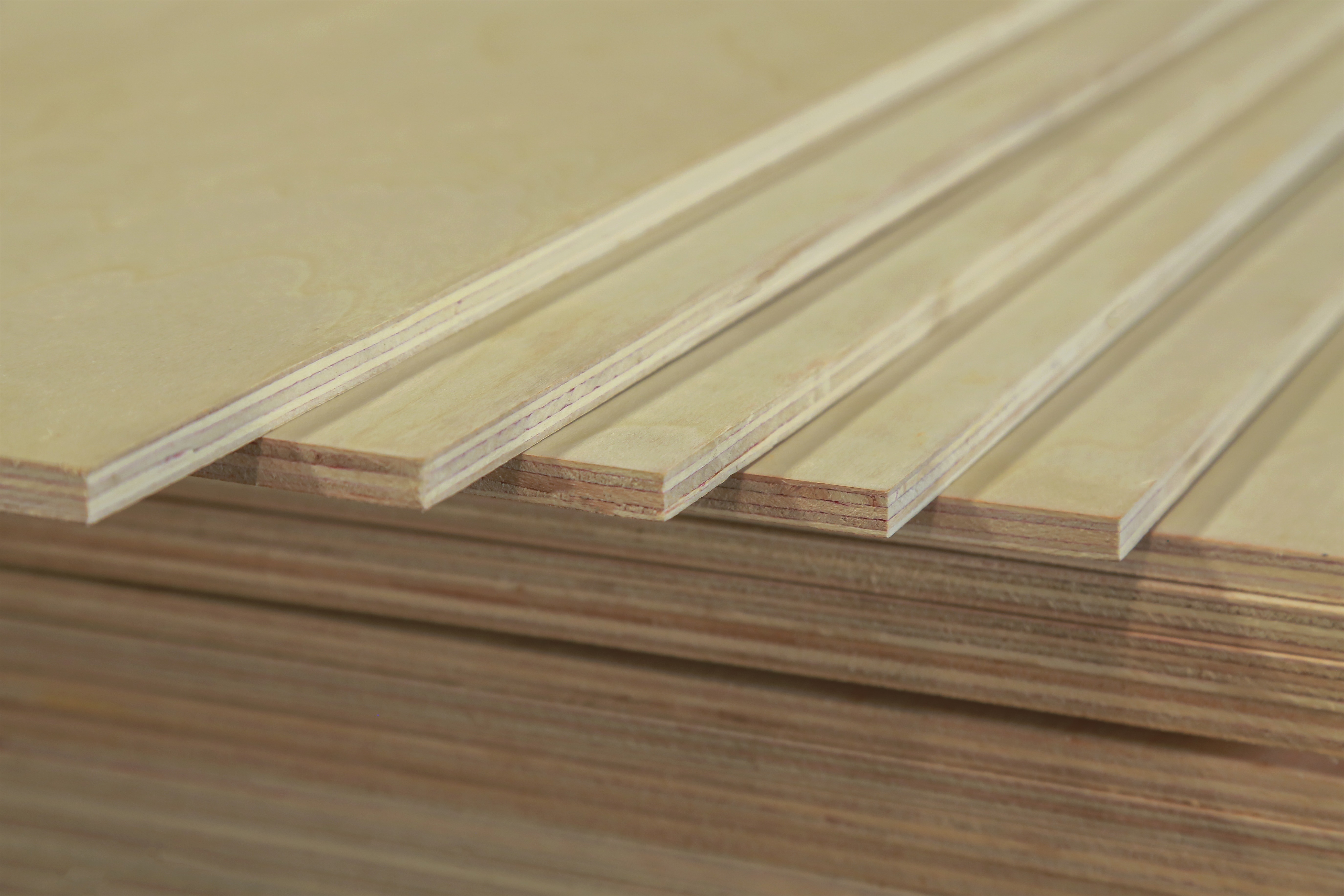 Poplar Plywood