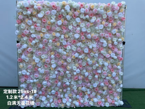 White full sky star fiower wall