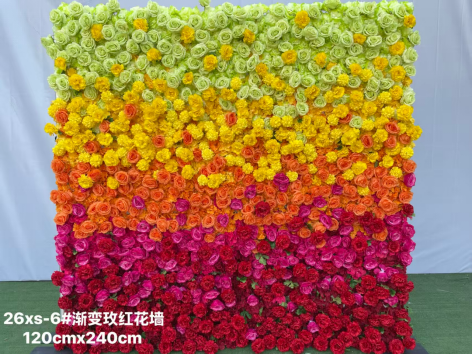 Gradually changing rose-pink flower wall